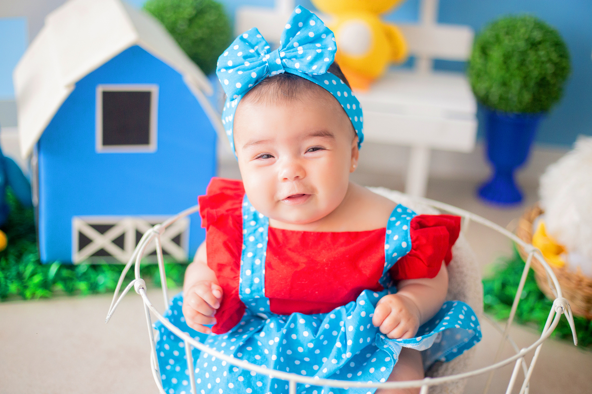 acompanhamento mensal de bebe caxias do sul figurino cenario tematico  personagem foto infantil serra gaucha fotografia familia mundo azul rosa ensaio fotografico crianca newborn baby menino menina smash the cake esmague o bolo banheira urso circo