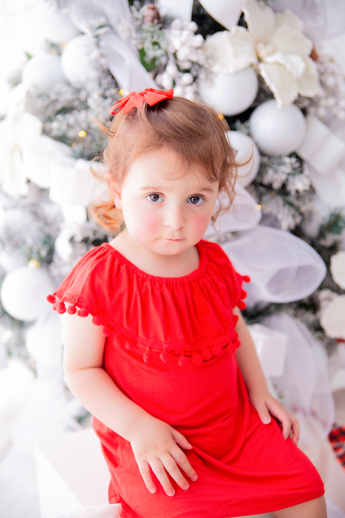 acompanhamento mensal de bebe caxias do sul figurino cenario tematico  personagem foto infantil serra gaucha fotografia familia mundo azul rosa ensaio fotografico crianca newborn baby menino menina smash the cake esmague o bolo banheira urso circo