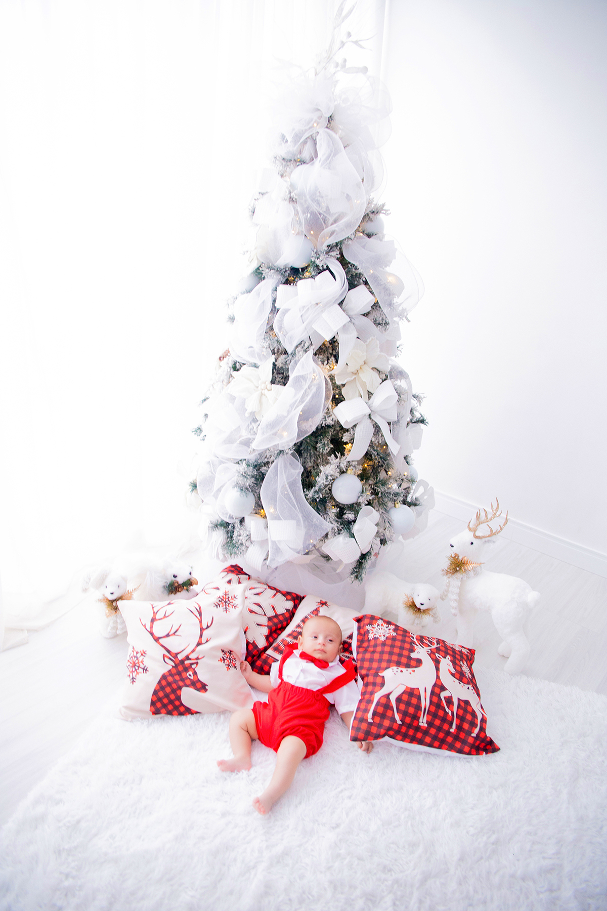 acompanhamento mensal de bebe caxias do sul figurino cenario tematico  personagem foto infantil serra gaucha fotografia familia mundo azul rosa ensaio fotografico crianca newborn baby menino menina smash the cake esmague o bolo banheira urso circo