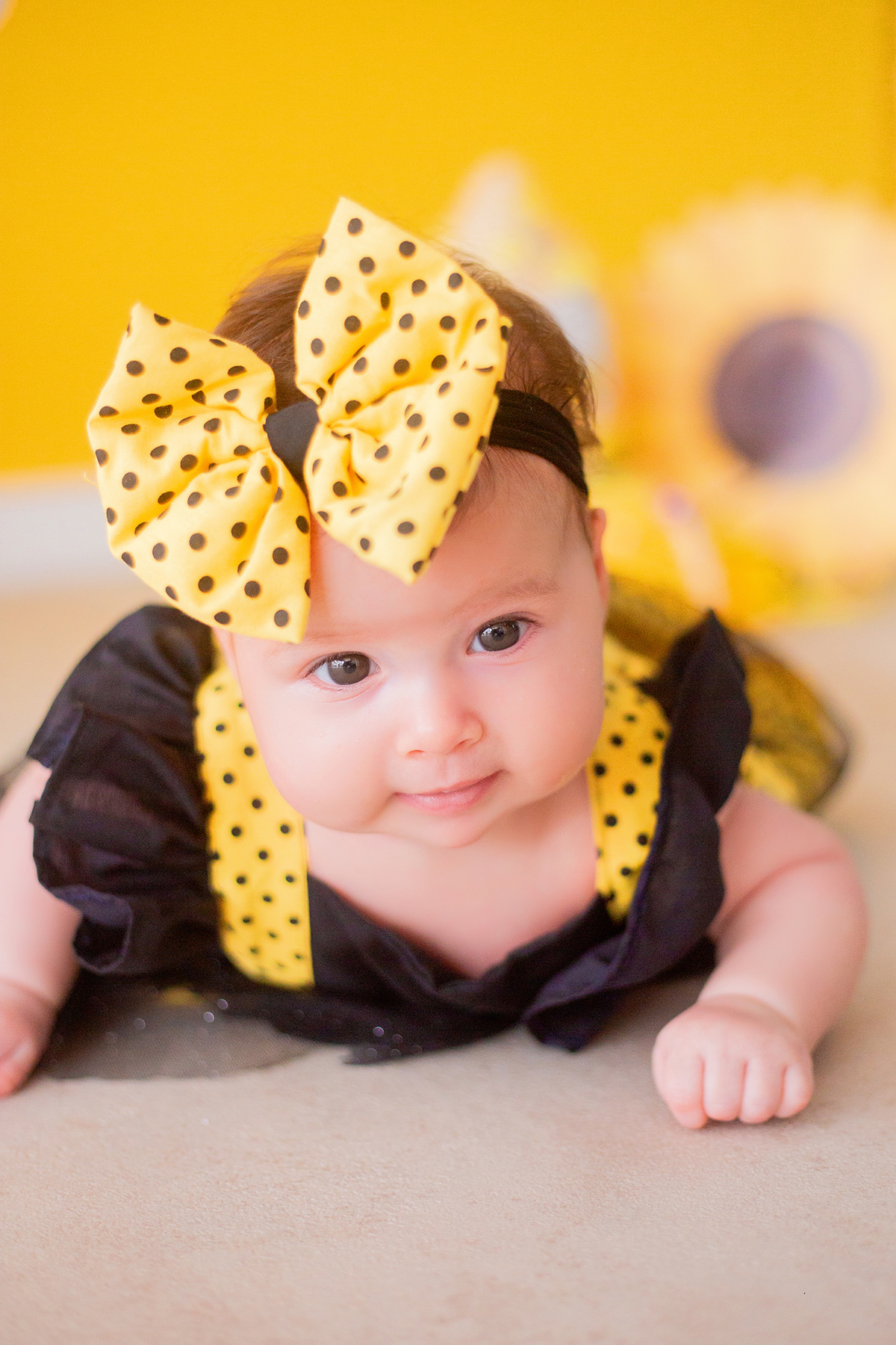 acompanhamento mensal de bebe caxias do sul figurino cenario tematico  personagem foto infantil serra gaucha fotografia familia mundo azul rosa ensaio fotografico crianca newborn baby menino menina smash the cake esmague o bolo banheira urso circo