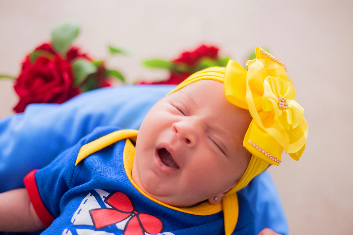 acompanhamento mensal de bebe caxias do sul figurino cenario tematico  personagem foto infantil serra gaucha fotografia familia mundo azul rosa ensaio fotografico crianca newborn baby menino menina smash the cake esmague o bolo banheira urso circo