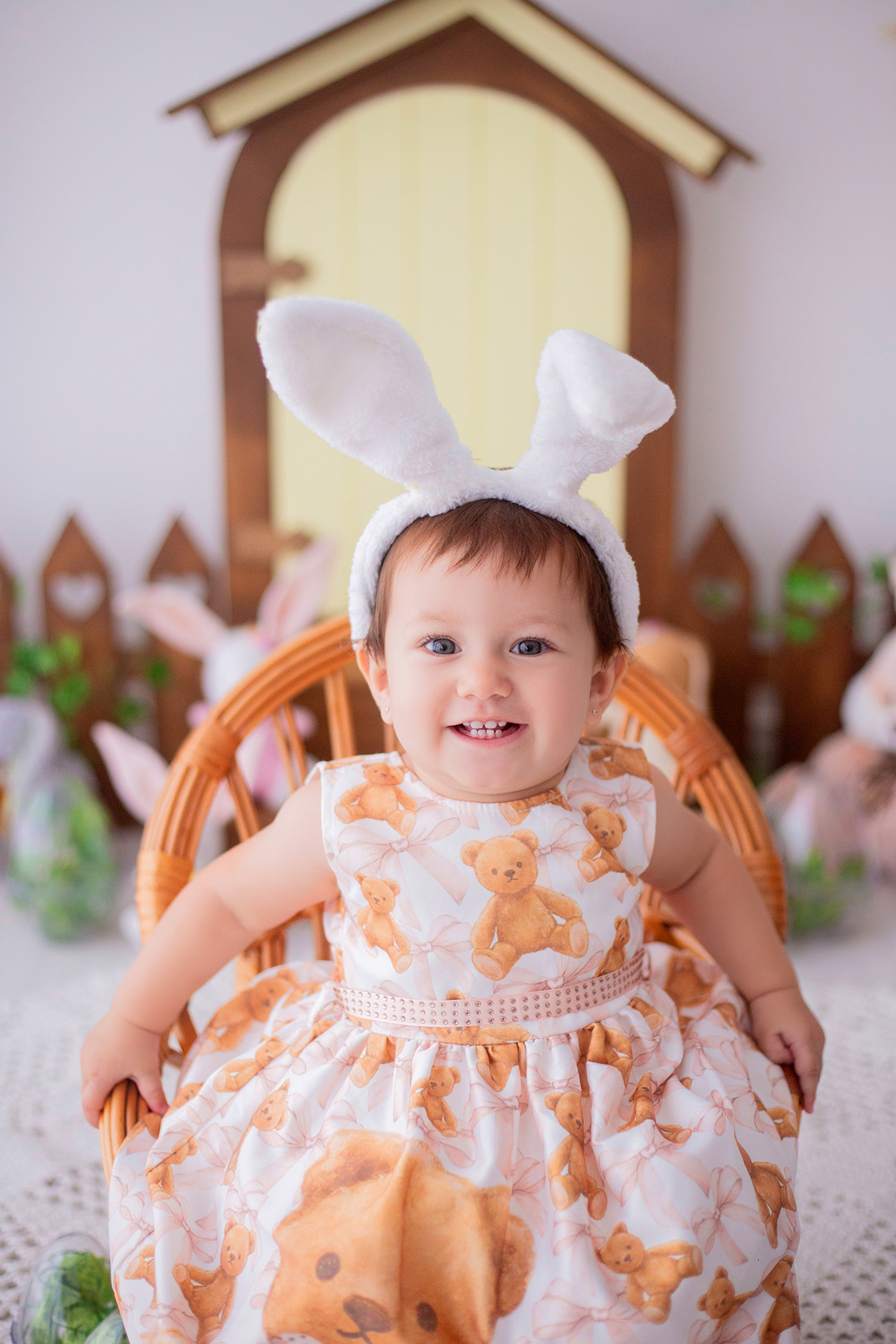 acompanhamento mensal de bebe caxias do sul figurino cenario tematico  personagem foto infantil serra gaucha fotografia familia mundo azul rosa ensaio fotografico crianca newborn baby menino menina smash the cake esmague o bolo banheira urso circo