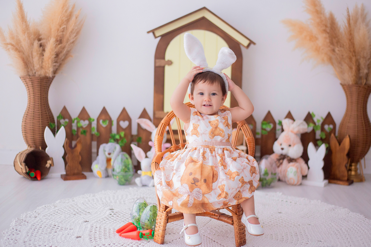 acompanhamento mensal de bebe caxias do sul figurino cenario tematico  personagem foto infantil serra gaucha fotografia familia mundo azul rosa ensaio fotografico crianca newborn baby menino menina smash the cake esmague o bolo banheira urso circo