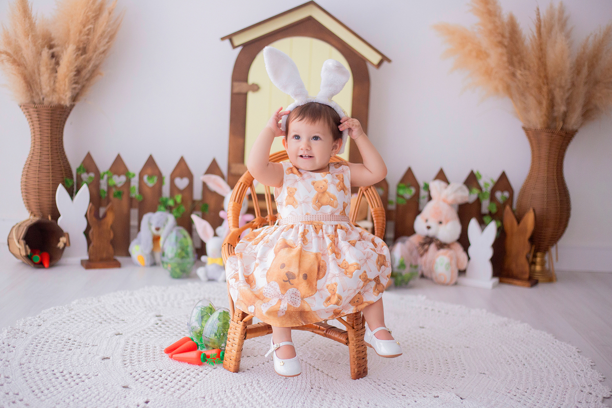 acompanhamento mensal de bebe caxias do sul figurino cenario tematico  personagem foto infantil serra gaucha fotografia familia mundo azul rosa ensaio fotografico crianca newborn baby menino menina smash the cake esmague o bolo banheira urso circo