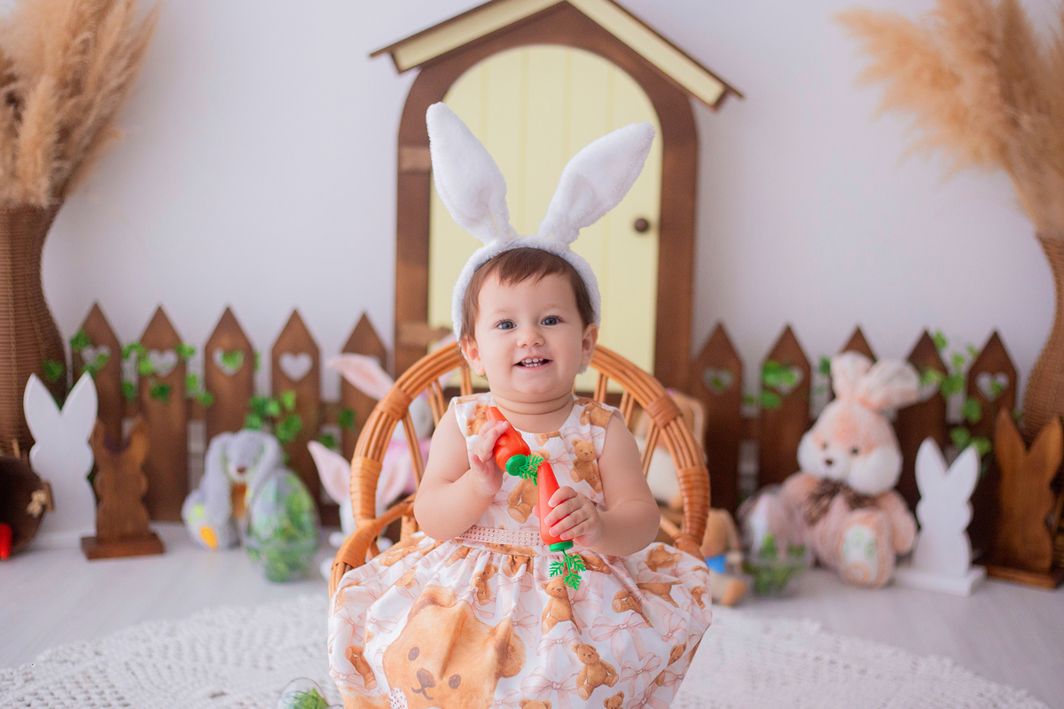 acompanhamento mensal de bebe caxias do sul figurino cenario tematico  personagem foto infantil serra gaucha fotografia familia mundo azul rosa ensaio fotografico crianca newborn baby menino menina smash the cake esmague o bolo banheira urso circo