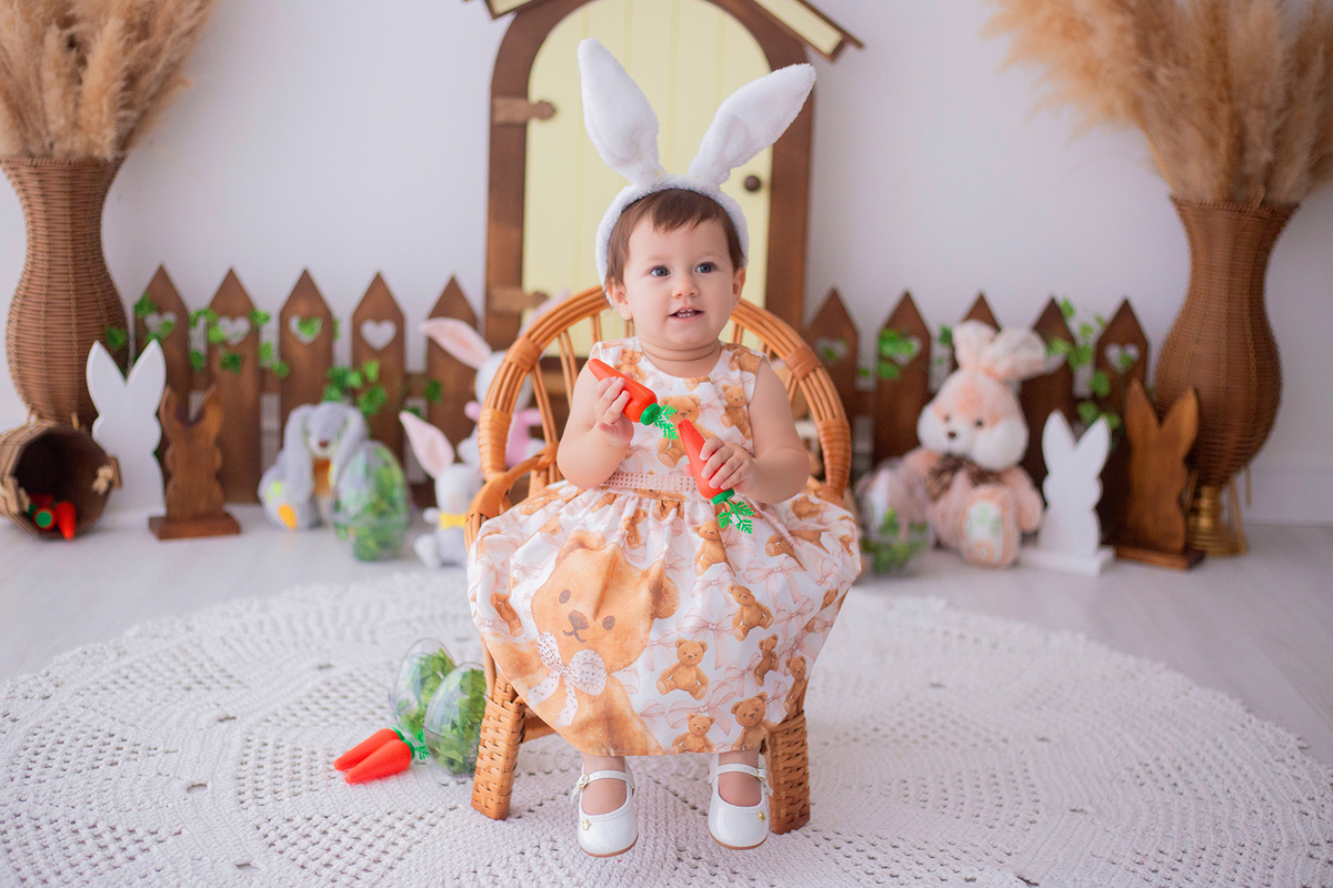 acompanhamento mensal de bebe caxias do sul figurino cenario tematico  personagem foto infantil serra gaucha fotografia familia mundo azul rosa ensaio fotografico crianca newborn baby menino menina smash the cake esmague o bolo banheira urso circo