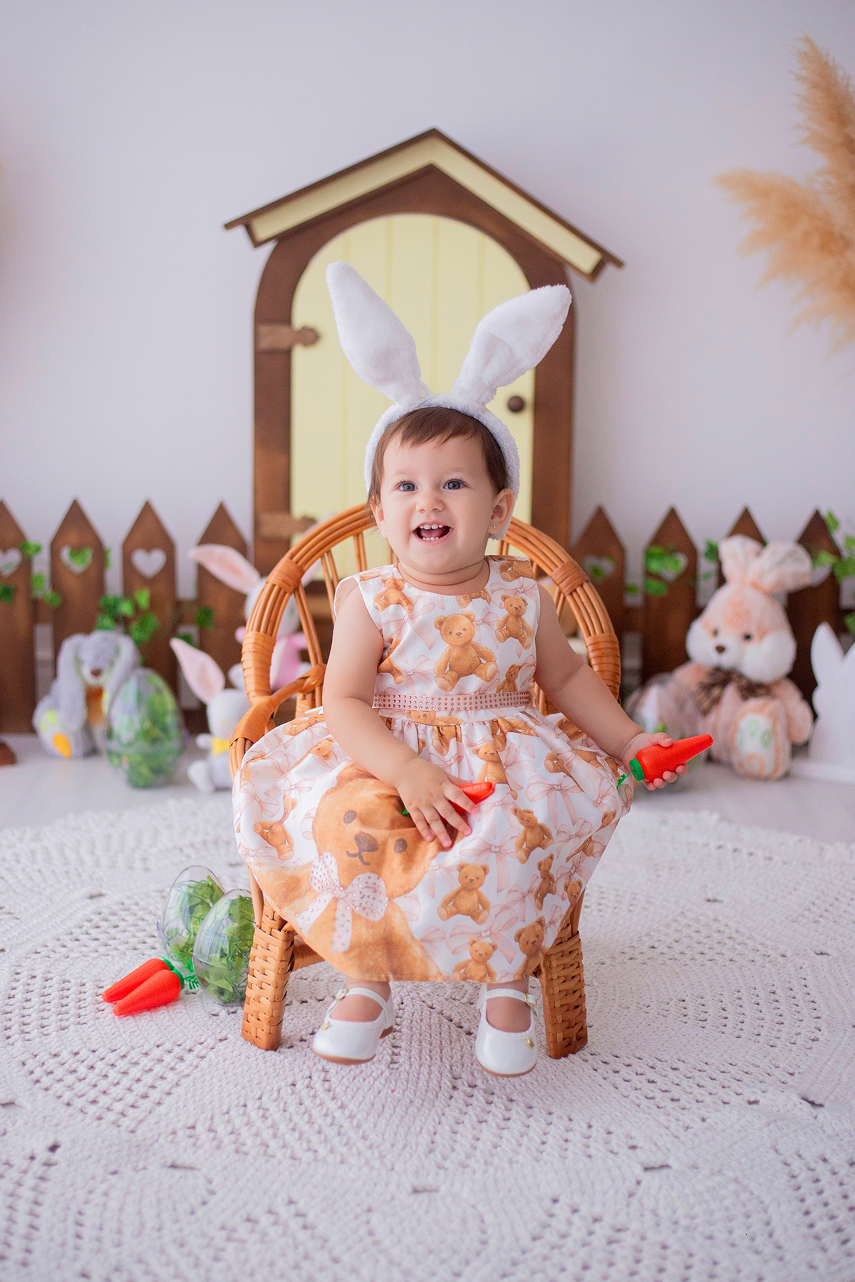 acompanhamento mensal de bebe caxias do sul figurino cenario tematico  personagem foto infantil serra gaucha fotografia familia mundo azul rosa ensaio fotografico crianca newborn baby menino menina smash the cake esmague o bolo banheira urso circo