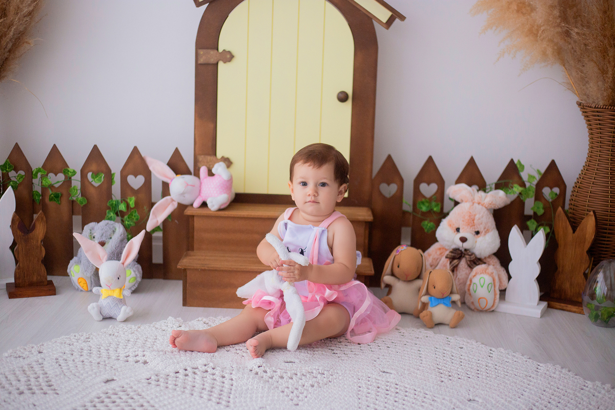 acompanhamento mensal de bebe caxias do sul figurino cenario tematico  personagem foto infantil serra gaucha fotografia familia mundo azul rosa ensaio fotografico crianca newborn baby menino menina smash the cake esmague o bolo banheira urso circo