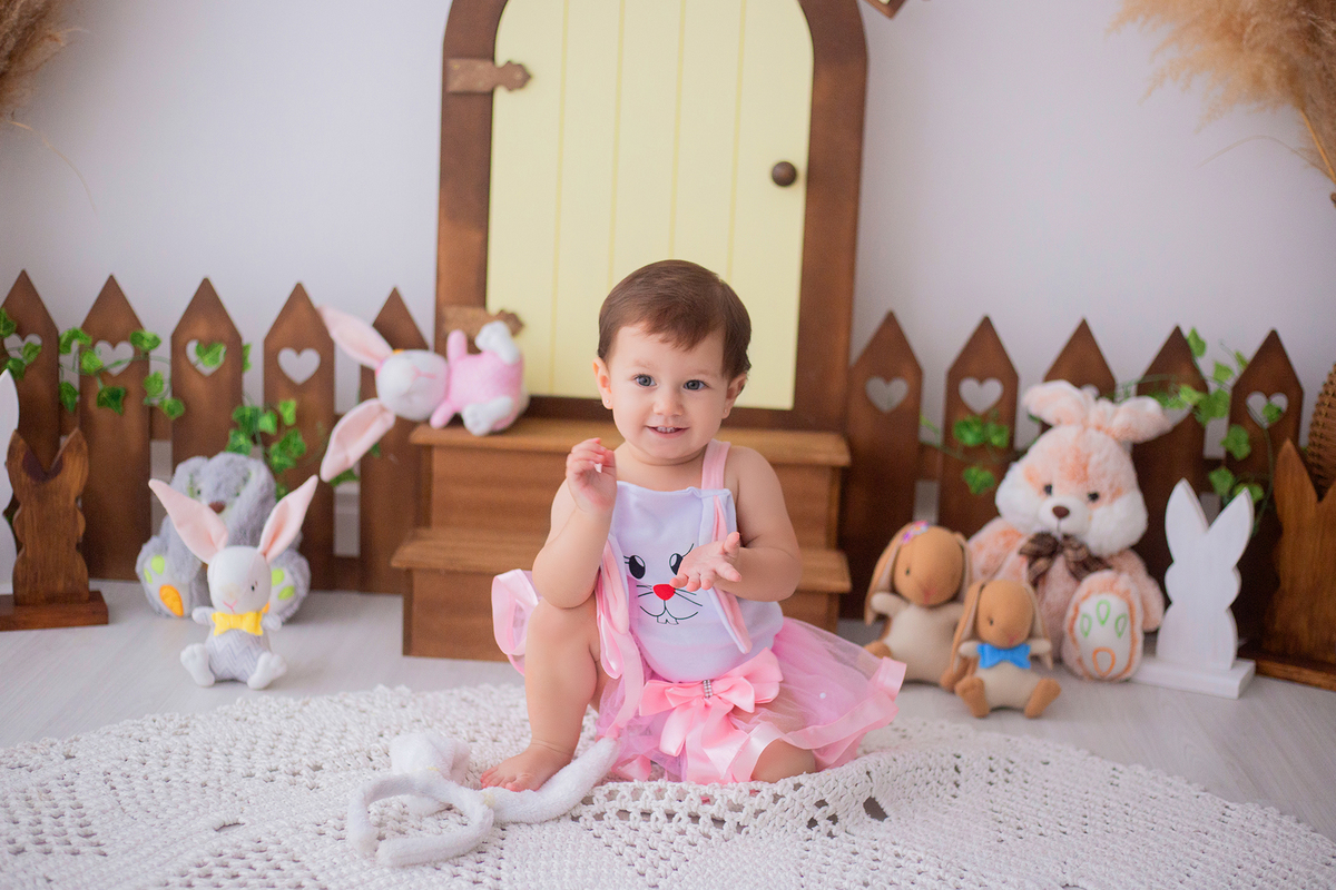 acompanhamento mensal de bebe caxias do sul figurino cenario tematico  personagem foto infantil serra gaucha fotografia familia mundo azul rosa ensaio fotografico crianca newborn baby menino menina smash the cake esmague o bolo banheira urso circo