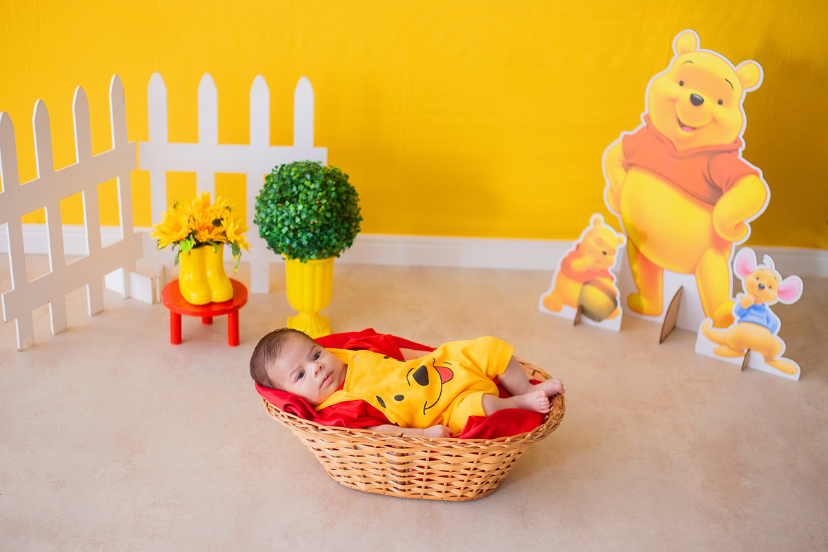 acompanhamento mensal de bebe caxias do sul figurino cenario tematico  personagem foto infantil serra gaucha fotografia familia mundo azul rosa ensaio fotografico crianca newborn baby menino menina smash the cake esmague o bolo banheira urso circo