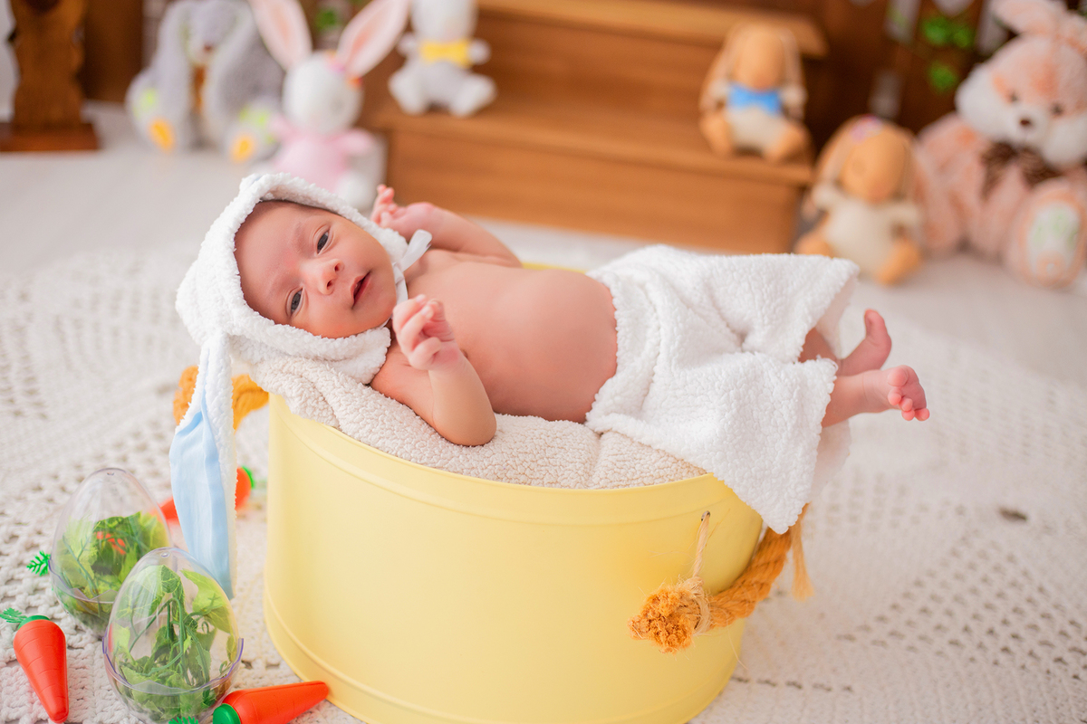 acompanhamento mensal de bebe caxias do sul figurino cenario tematico  personagem foto infantil serra gaucha fotografia familia mundo azul rosa ensaio fotografico crianca newborn baby menino menina smash the cake esmague o bolo banheira urso circo