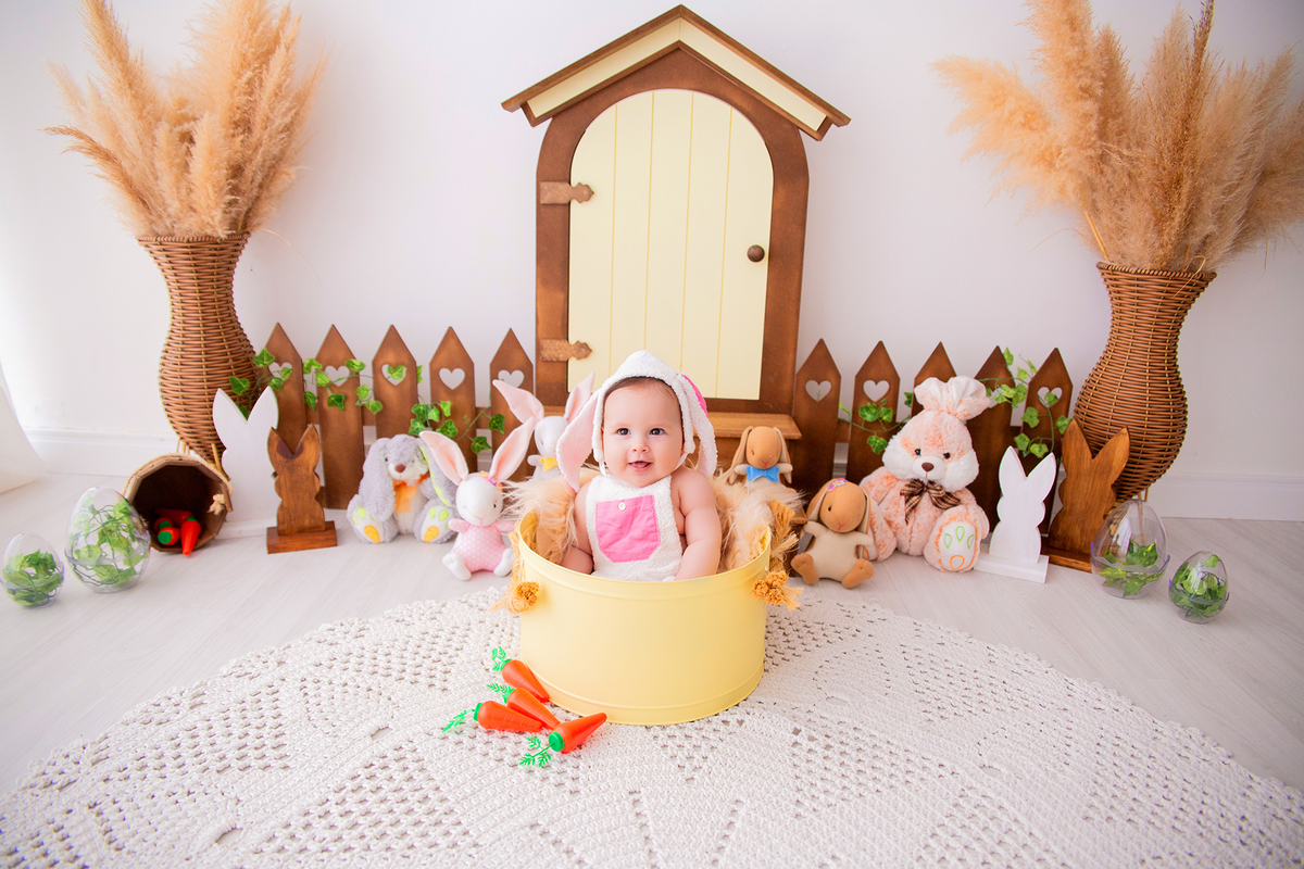 acompanhamento mensal de bebe caxias do sul figurino cenario tematico  personagem foto infantil serra gaucha fotografia familia mundo azul rosa ensaio fotografico crianca newborn baby menino menina smash the cake esmague o bolo banheira urso circo