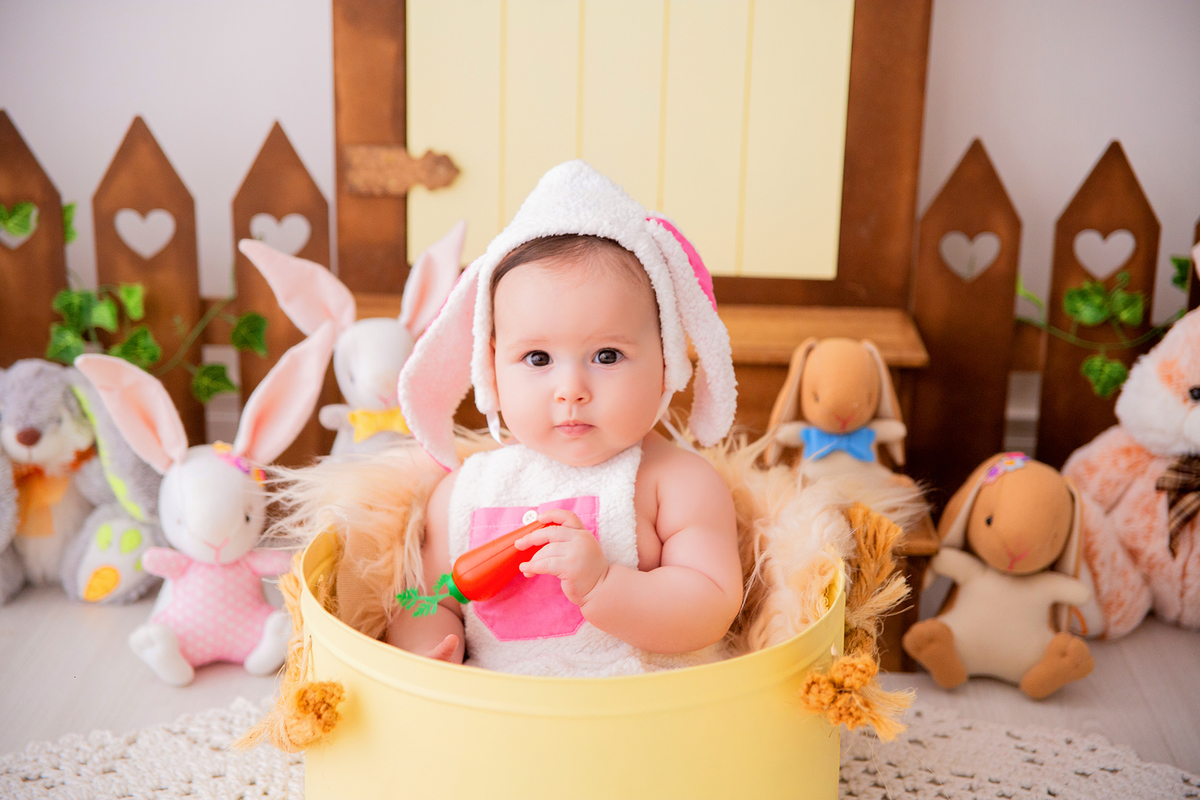 acompanhamento mensal de bebe caxias do sul figurino cenario tematico  personagem foto infantil serra gaucha fotografia familia mundo azul rosa ensaio fotografico crianca newborn baby menino menina smash the cake esmague o bolo banheira urso circo