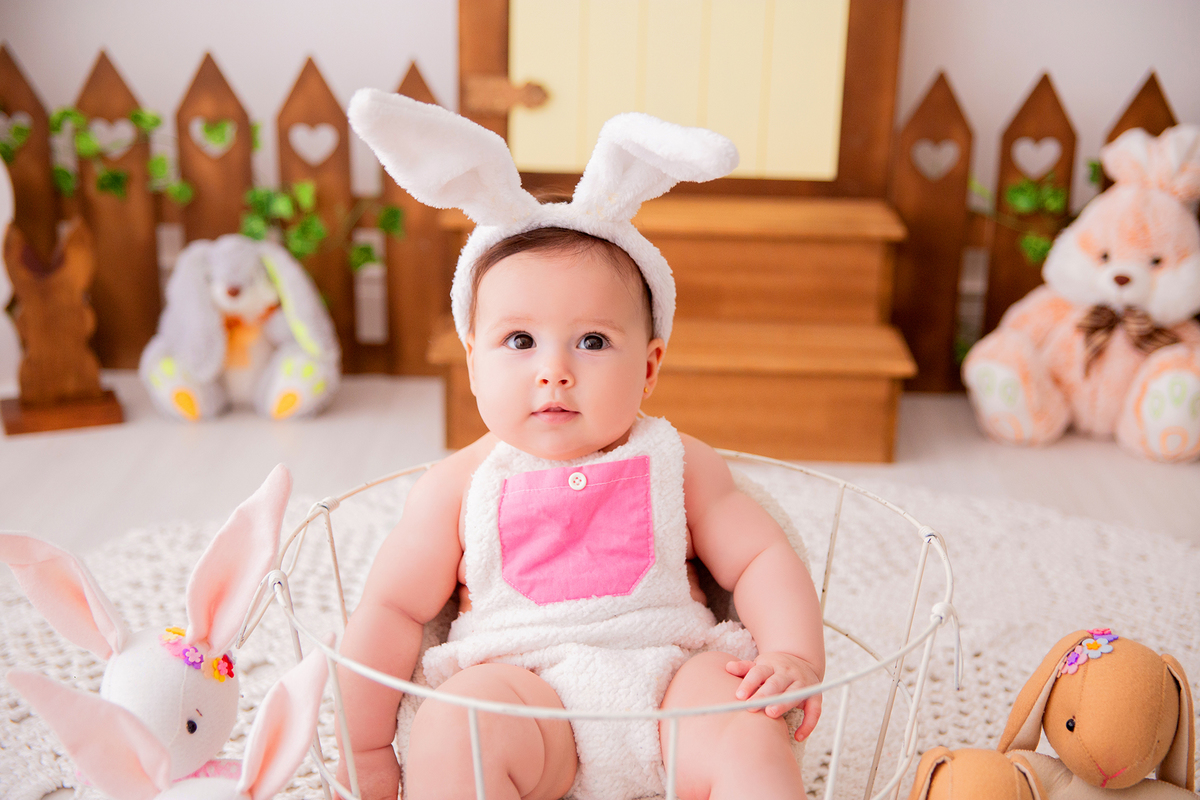 acompanhamento mensal de bebe caxias do sul figurino cenario tematico  personagem foto infantil serra gaucha fotografia familia mundo azul rosa ensaio fotografico crianca newborn baby menino menina smash the cake esmague o bolo banheira urso circo