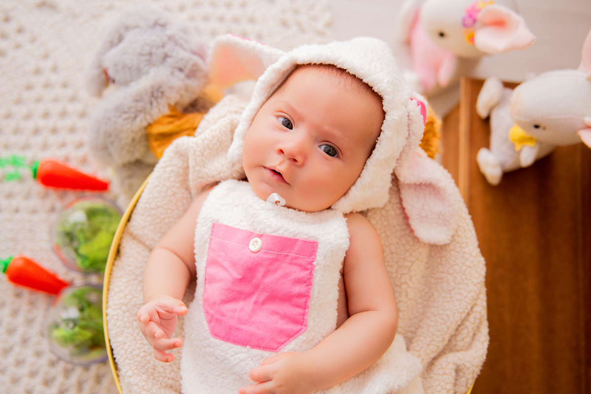 acompanhamento mensal de bebe caxias do sul figurino cenario tematico  personagem foto infantil serra gaucha fotografia familia mundo azul rosa ensaio fotografico crianca newborn baby menino menina smash the cake esmague o bolo banheira urso circo
