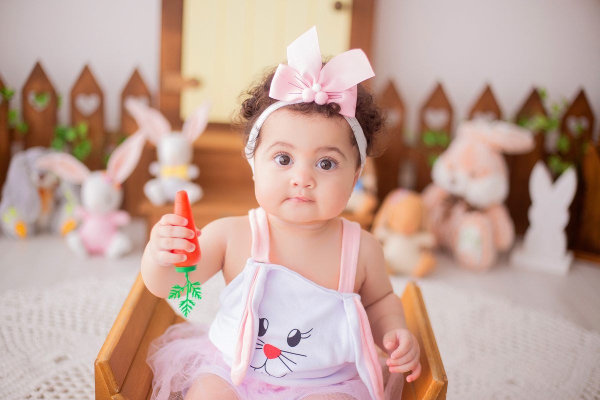 acompanhamento mensal de bebe caxias do sul figurino cenario tematico  personagem foto infantil serra gaucha fotografia familia mundo azul rosa ensaio fotografico crianca newborn baby menino menina smash the cake esmague o bolo banheira urso circo