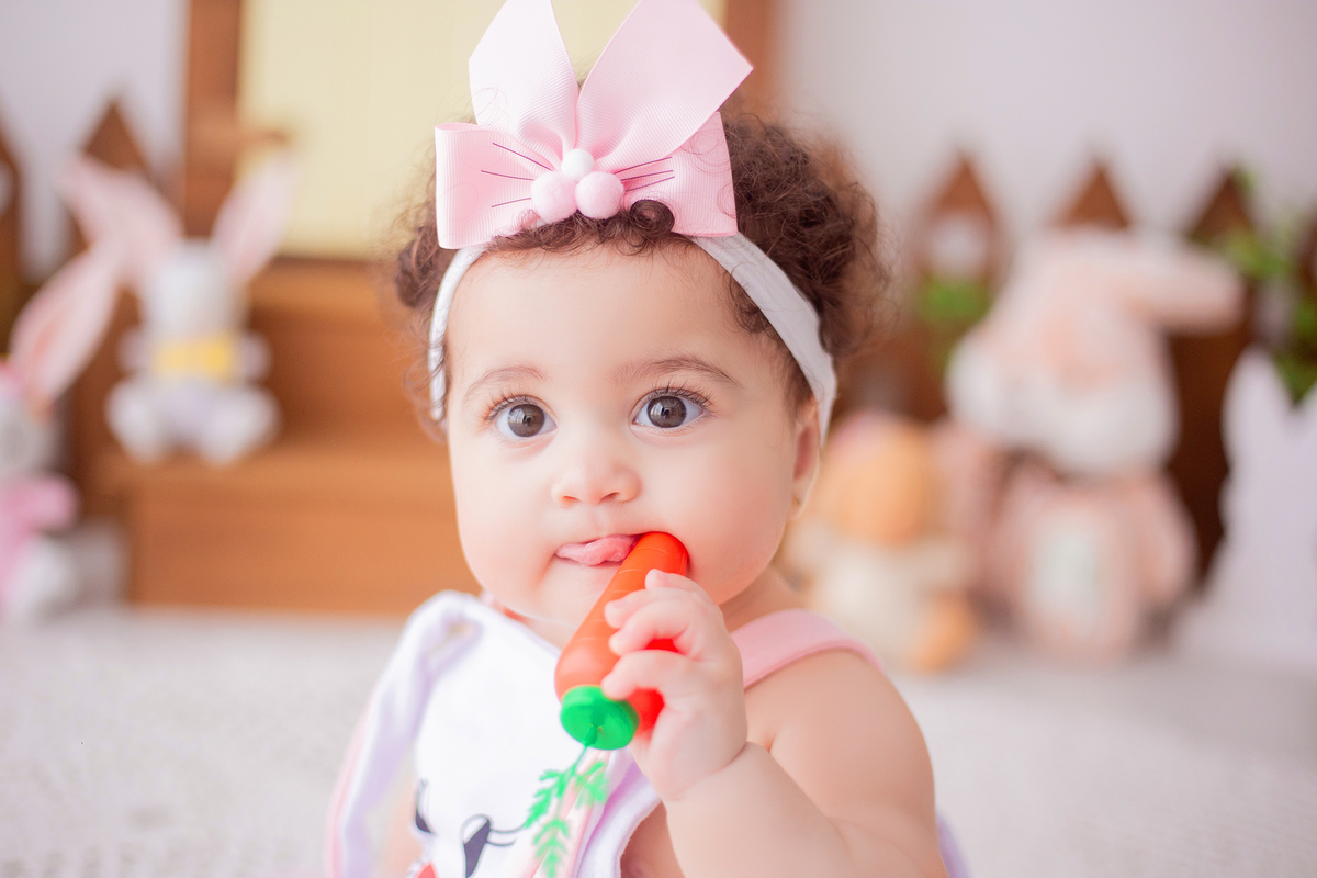 acompanhamento mensal de bebe caxias do sul figurino cenario tematico  personagem foto infantil serra gaucha fotografia familia mundo azul rosa ensaio fotografico crianca newborn baby menino menina smash the cake esmague o bolo banheira urso circo