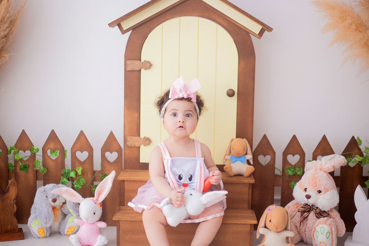 acompanhamento mensal de bebe caxias do sul figurino cenario tematico  personagem foto infantil serra gaucha fotografia familia mundo azul rosa ensaio fotografico crianca newborn baby menino menina smash the cake esmague o bolo banheira urso circo