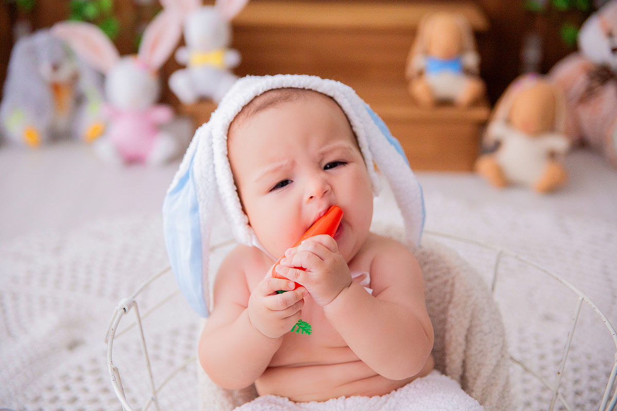 acompanhamento mensal de bebe caxias do sul figurino cenario tematico  personagem foto infantil serra gaucha fotografia familia mundo azul rosa ensaio fotografico crianca newborn baby menino menina smash the cake esmague o bolo banheira urso circo