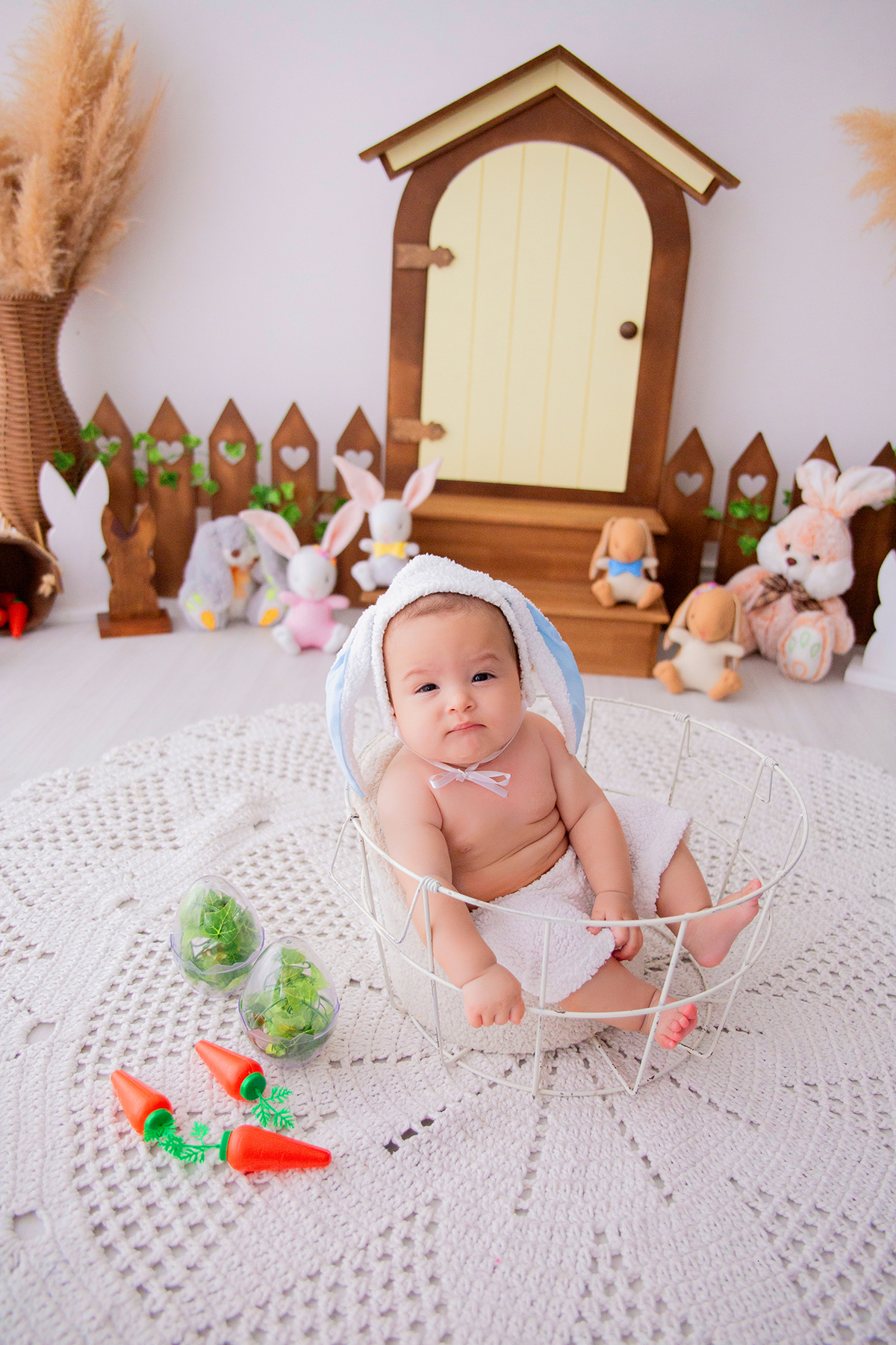 acompanhamento mensal de bebe caxias do sul figurino cenario tematico  personagem foto infantil serra gaucha fotografia familia mundo azul rosa ensaio fotografico crianca newborn baby menino menina smash the cake esmague o bolo banheira urso circo