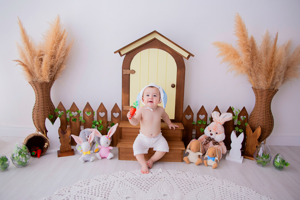 acompanhamento mensal de bebe caxias do sul figurino cenario tematico  personagem foto infantil serra gaucha fotografia familia mundo azul rosa ensaio fotografico crianca newborn baby menino menina smash the cake esmague o bolo banheira urso circo