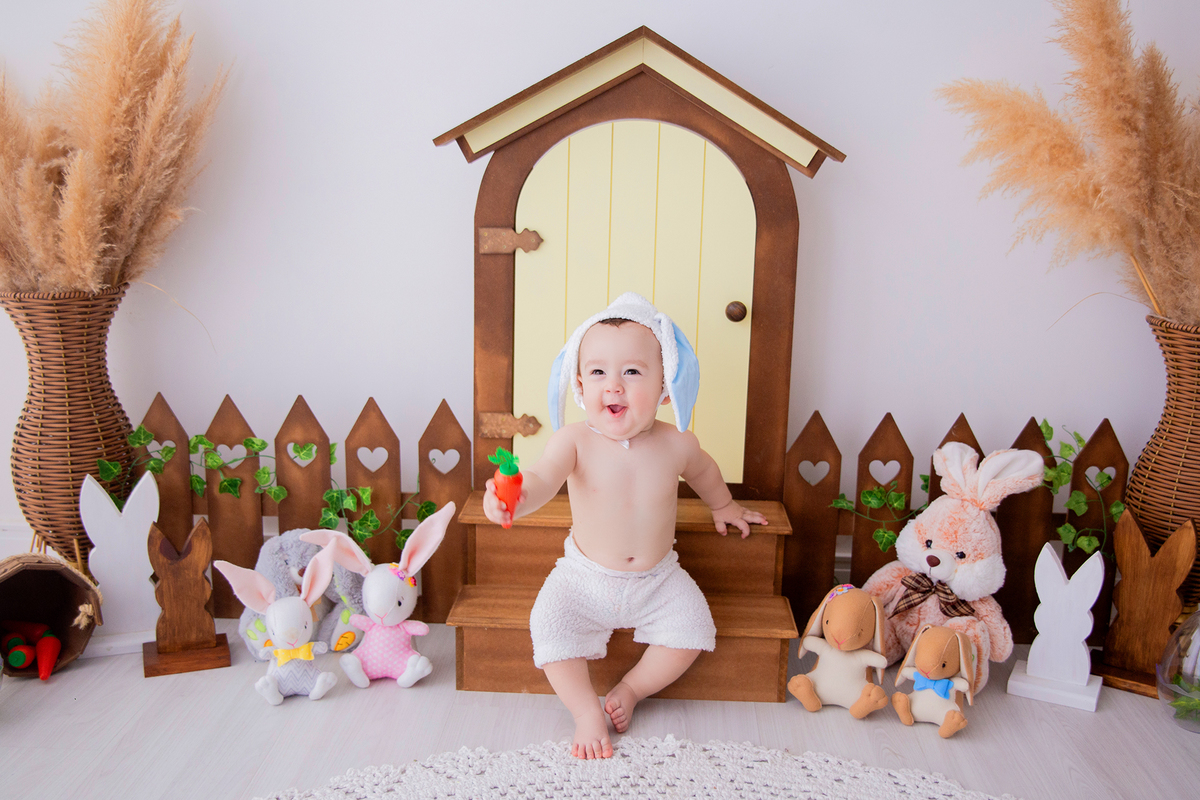 acompanhamento mensal de bebe caxias do sul figurino cenario tematico  personagem foto infantil serra gaucha fotografia familia mundo azul rosa ensaio fotografico crianca newborn baby menino menina smash the cake esmague o bolo banheira urso circo