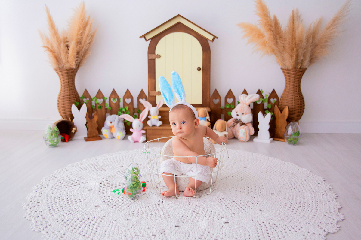 acompanhamento mensal de bebe caxias do sul figurino cenario tematico  personagem foto infantil serra gaucha fotografia familia mundo azul rosa ensaio fotografico crianca newborn baby menino menina smash the cake esmague o bolo banheira urso circo