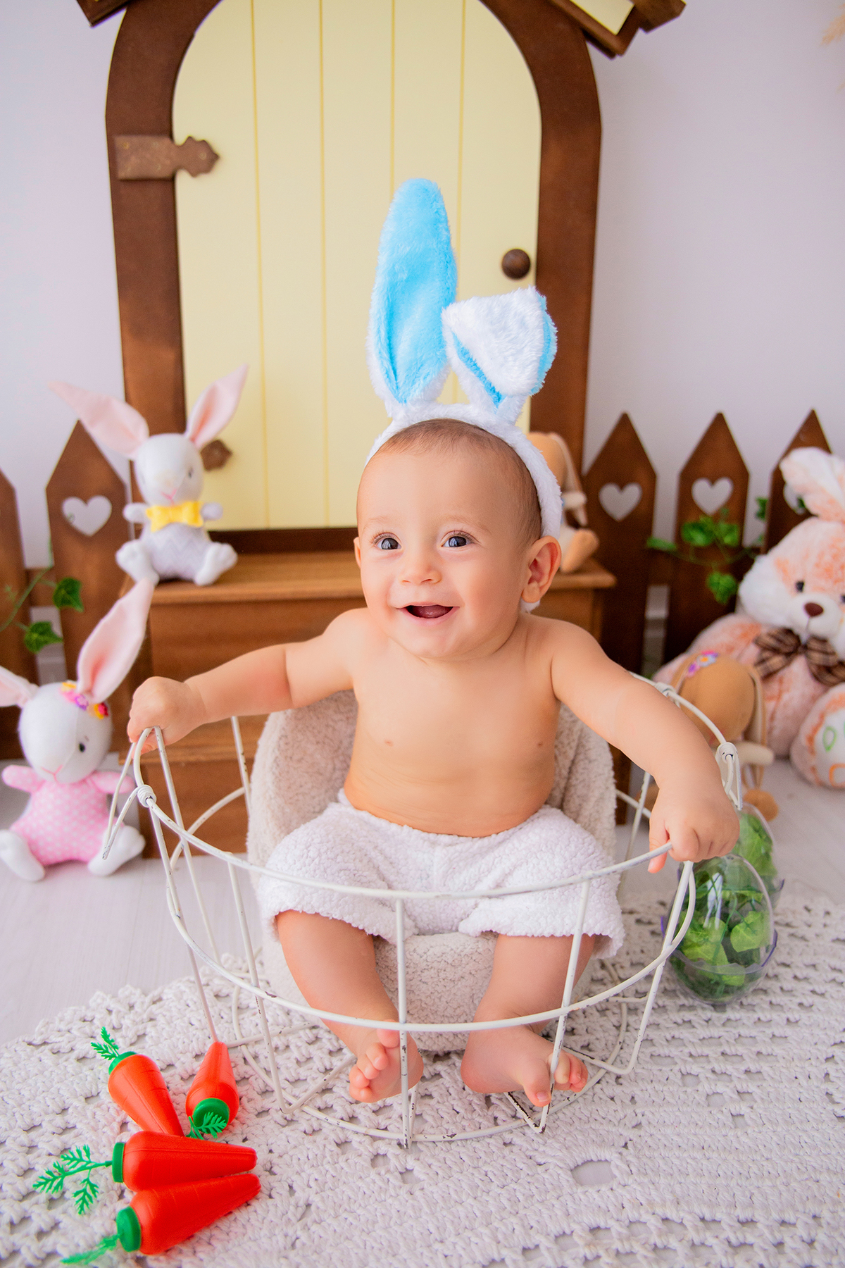 acompanhamento mensal de bebe caxias do sul figurino cenario tematico  personagem foto infantil serra gaucha fotografia familia mundo azul rosa ensaio fotografico crianca newborn baby menino menina smash the cake esmague o bolo banheira urso circo