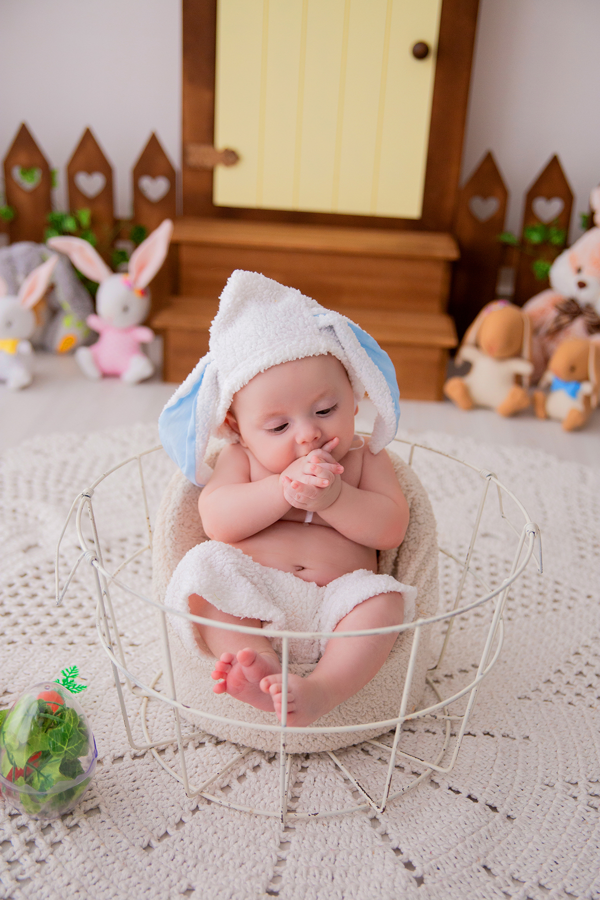 acompanhamento mensal de bebe caxias do sul figurino cenario tematico  personagem foto infantil serra gaucha fotografia familia mundo azul rosa ensaio fotografico crianca newborn baby menino menina smash the cake esmague o bolo banheira urso circo