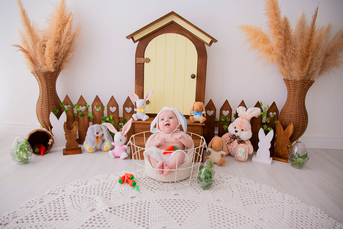 acompanhamento mensal de bebe caxias do sul figurino cenario tematico  personagem foto infantil serra gaucha fotografia familia mundo azul rosa ensaio fotografico crianca newborn baby menino menina smash the cake esmague o bolo banheira urso circo