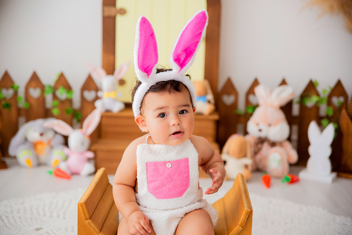 acompanhamento mensal de bebe caxias do sul figurino cenario tematico  personagem foto infantil serra gaucha fotografia familia mundo azul rosa ensaio fotografico crianca newborn baby menino menina smash the cake esmague o bolo banheira urso circo