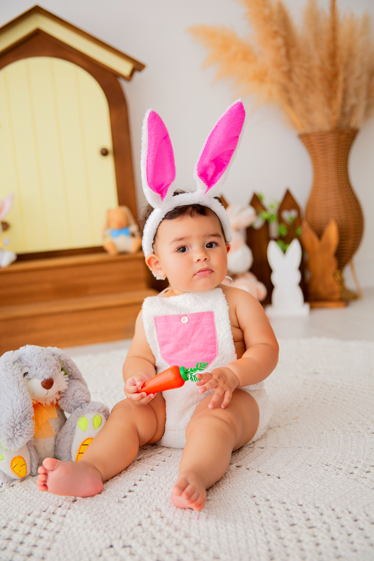 acompanhamento mensal de bebe caxias do sul figurino cenario tematico  personagem foto infantil serra gaucha fotografia familia mundo azul rosa ensaio fotografico crianca newborn baby menino menina smash the cake esmague o bolo banheira urso circo