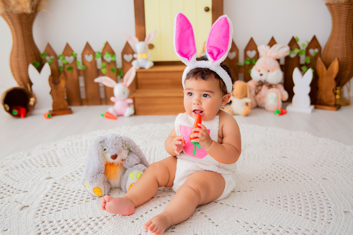 acompanhamento mensal de bebe caxias do sul figurino cenario tematico  personagem foto infantil serra gaucha fotografia familia mundo azul rosa ensaio fotografico crianca newborn baby menino menina smash the cake esmague o bolo banheira urso circo