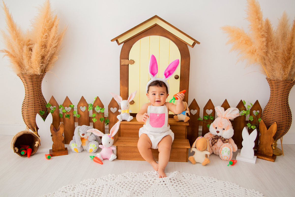 acompanhamento mensal de bebe caxias do sul figurino cenario tematico  personagem foto infantil serra gaucha fotografia familia mundo azul rosa ensaio fotografico crianca newborn baby menino menina smash the cake esmague o bolo banheira urso circo