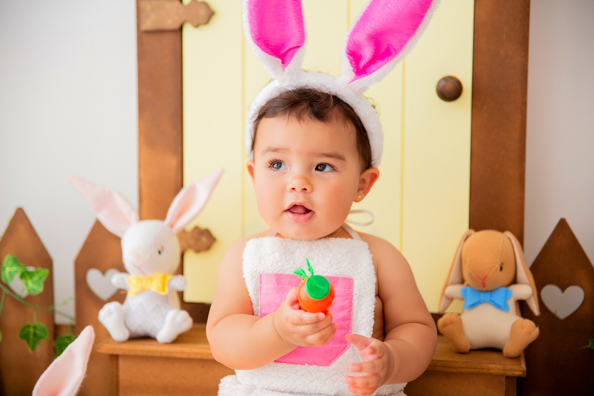 acompanhamento mensal de bebe caxias do sul figurino cenario tematico  personagem foto infantil serra gaucha fotografia familia mundo azul rosa ensaio fotografico crianca newborn baby menino menina smash the cake esmague o bolo banheira urso circo