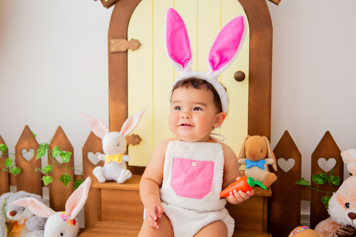 acompanhamento mensal de bebe caxias do sul figurino cenario tematico  personagem foto infantil serra gaucha fotografia familia mundo azul rosa ensaio fotografico crianca newborn baby menino menina smash the cake esmague o bolo banheira urso circo