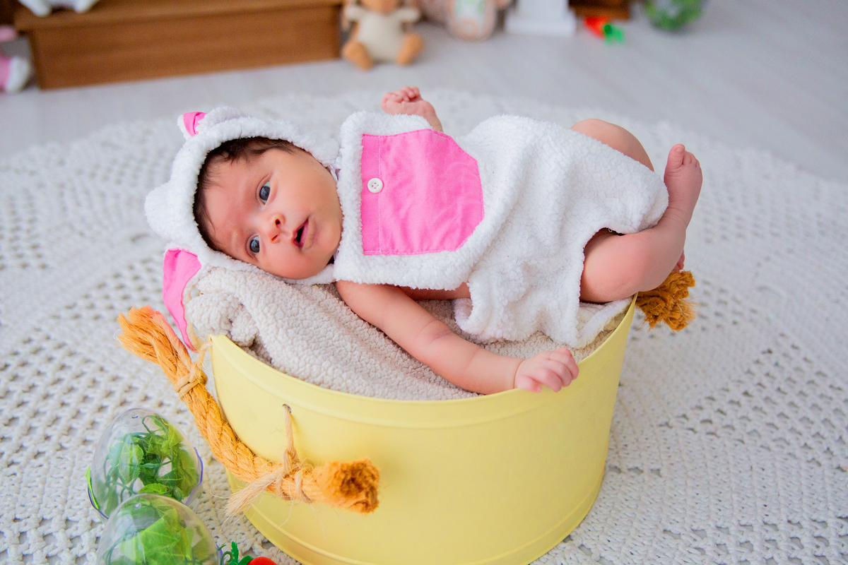 acompanhamento mensal de bebe caxias do sul figurino cenario tematico  personagem foto infantil serra gaucha fotografia familia mundo azul rosa ensaio fotografico crianca newborn baby menino menina smash the cake esmague o bolo banheira urso circo