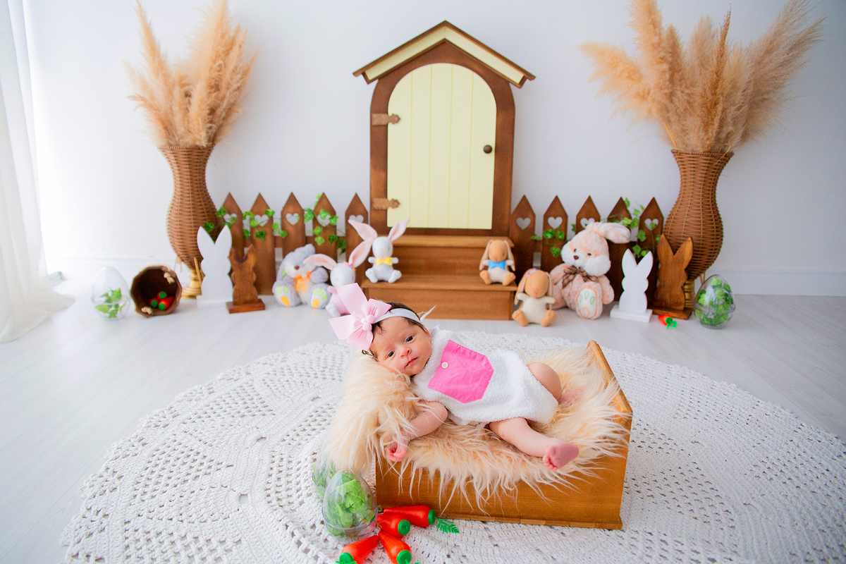 acompanhamento mensal de bebe caxias do sul figurino cenario tematico  personagem foto infantil serra gaucha fotografia familia mundo azul rosa ensaio fotografico crianca newborn baby menino menina smash the cake esmague o bolo banheira urso circo