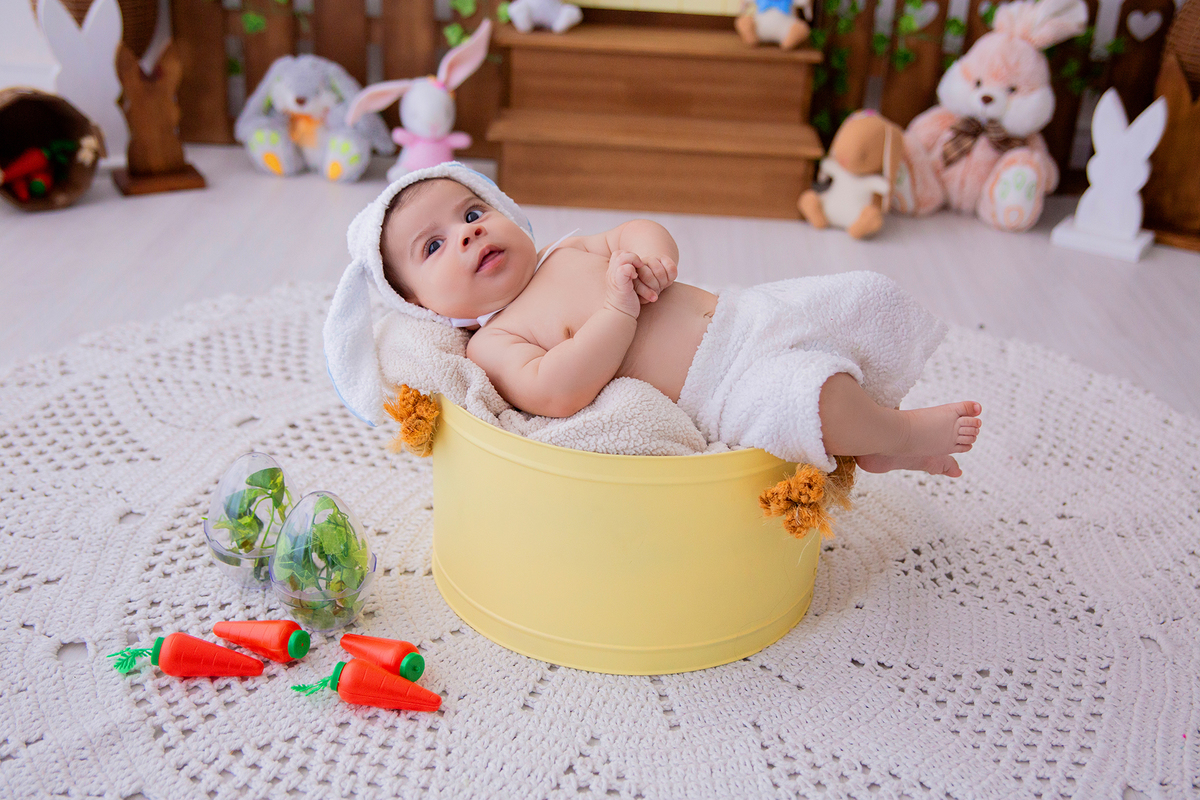 acompanhamento mensal de bebe caxias do sul figurino cenario tematico  personagem foto infantil serra gaucha fotografia familia mundo azul rosa ensaio fotografico crianca newborn baby menino menina smash the cake esmague o bolo banheira urso circo