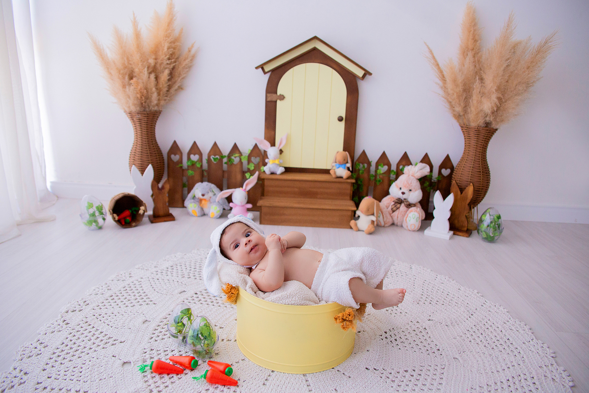 acompanhamento mensal de bebe caxias do sul figurino cenario tematico  personagem foto infantil serra gaucha fotografia familia mundo azul rosa ensaio fotografico crianca newborn baby menino menina smash the cake esmague o bolo banheira urso circo