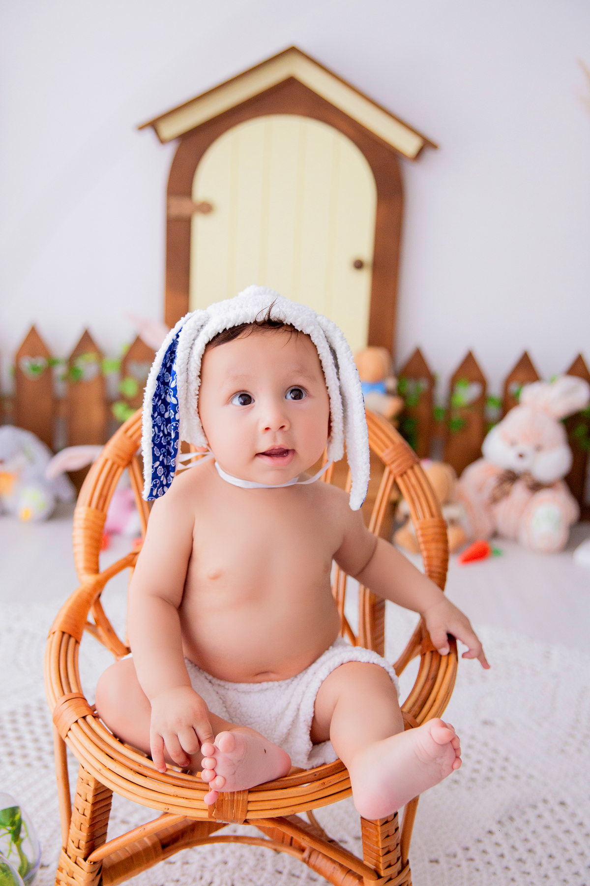 acompanhamento mensal de bebe caxias do sul figurino cenario tematico  personagem foto infantil serra gaucha fotografia familia mundo azul rosa ensaio fotografico crianca newborn baby menino menina smash the cake esmague o bolo banheira urso circo