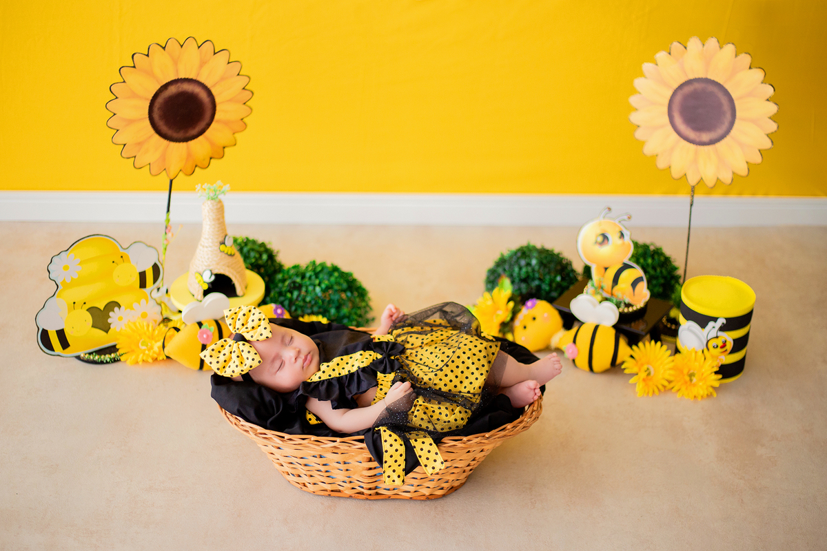 acompanhamento mensal de bebe caxias do sul figurino cenario tematico  personagem foto infantil serra gaucha fotografia familia mundo azul rosa ensaio fotografico crianca newborn baby menino menina smash the cake esmague o bolo banheira urso circo