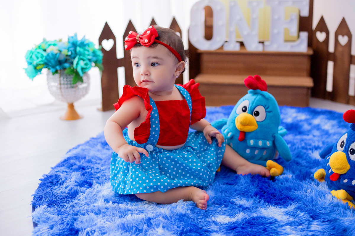 acompanhamento mensal de bebe caxias do sul figurino cenario tematico  personagem foto infantil serra gaucha fotografia familia mundo azul rosa ensaio fotografico crianca newborn baby menino menina smash the cake esmague o bolo banheira urso circo