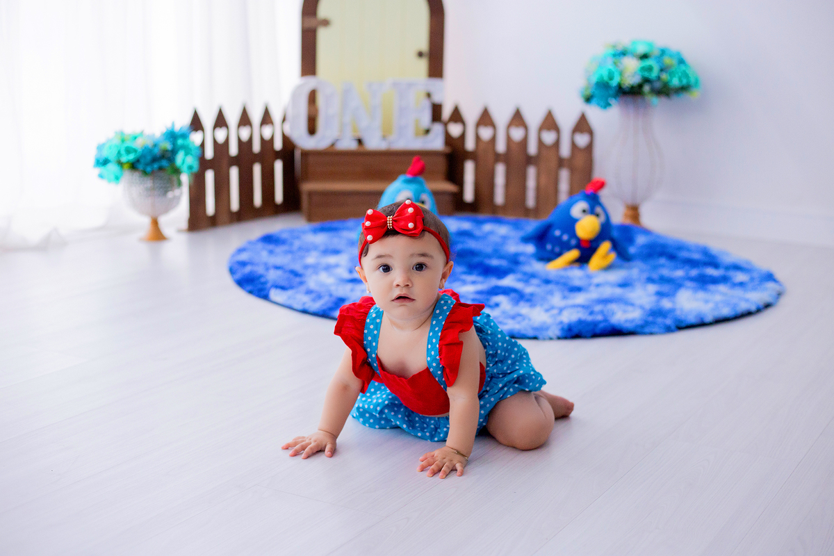 acompanhamento mensal de bebe caxias do sul figurino cenario tematico  personagem foto infantil serra gaucha fotografia familia mundo azul rosa ensaio fotografico crianca newborn baby menino menina smash the cake esmague o bolo banheira urso circo