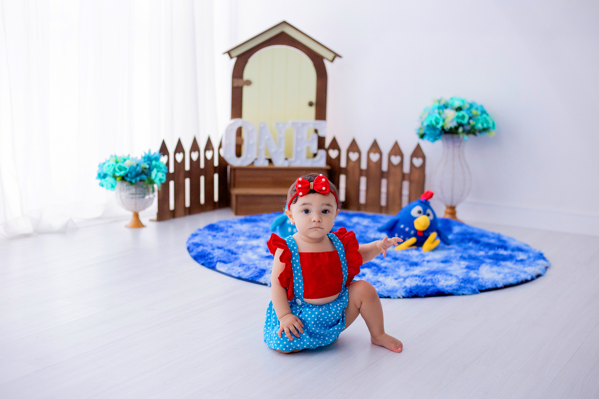 acompanhamento mensal de bebe caxias do sul figurino cenario tematico  personagem foto infantil serra gaucha fotografia familia mundo azul rosa ensaio fotografico crianca newborn baby menino menina smash the cake esmague o bolo banheira urso circo