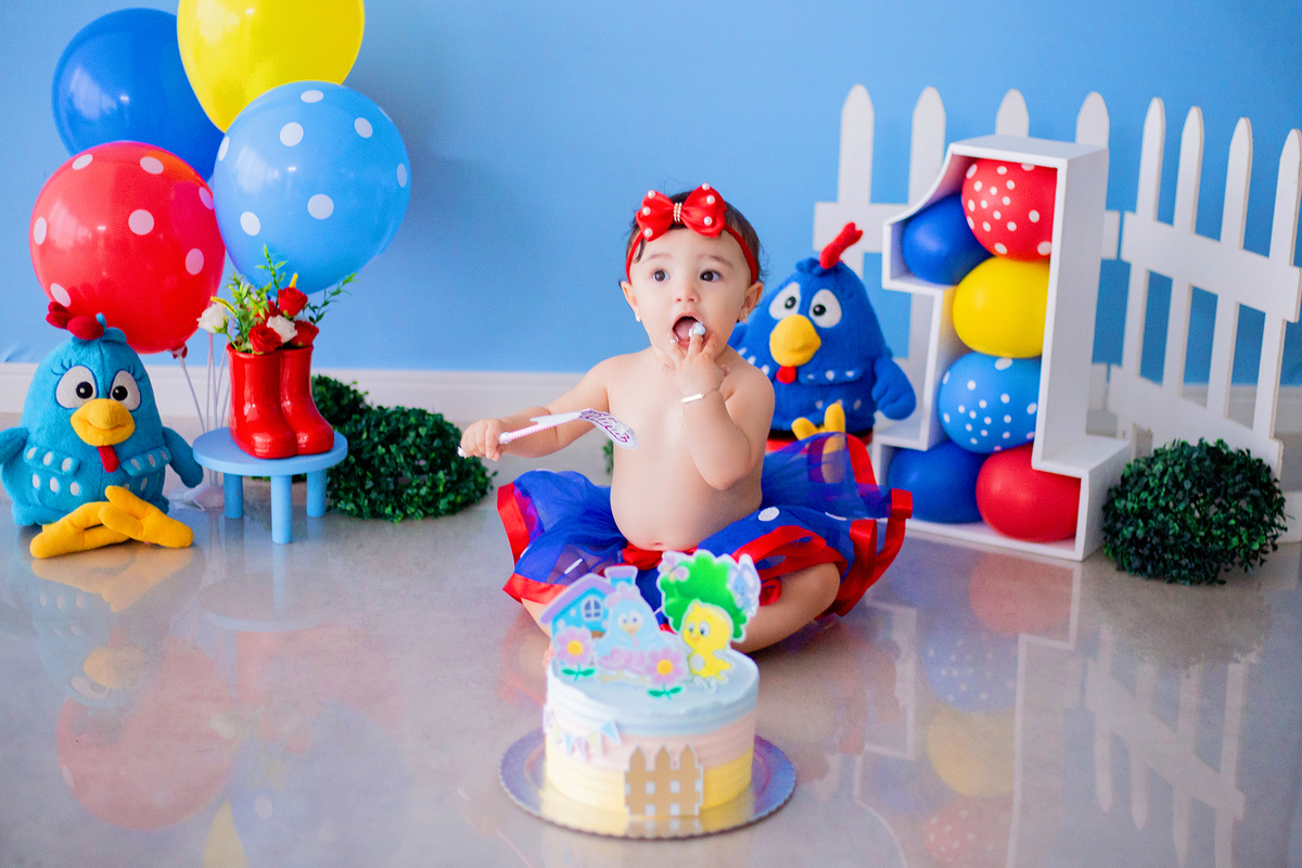 acompanhamento mensal de bebe caxias do sul figurino cenario tematico  personagem foto infantil serra gaucha fotografia familia mundo azul rosa ensaio fotografico crianca newborn baby menino menina smash the cake esmague o bolo banheira urso circo