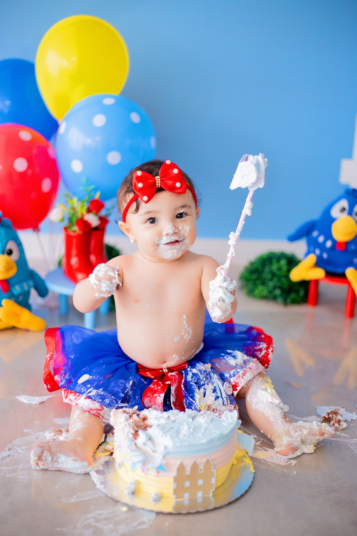 acompanhamento mensal de bebe caxias do sul figurino cenario tematico  personagem foto infantil serra gaucha fotografia familia mundo azul rosa ensaio fotografico crianca newborn baby menino menina smash the cake esmague o bolo banheira urso circo