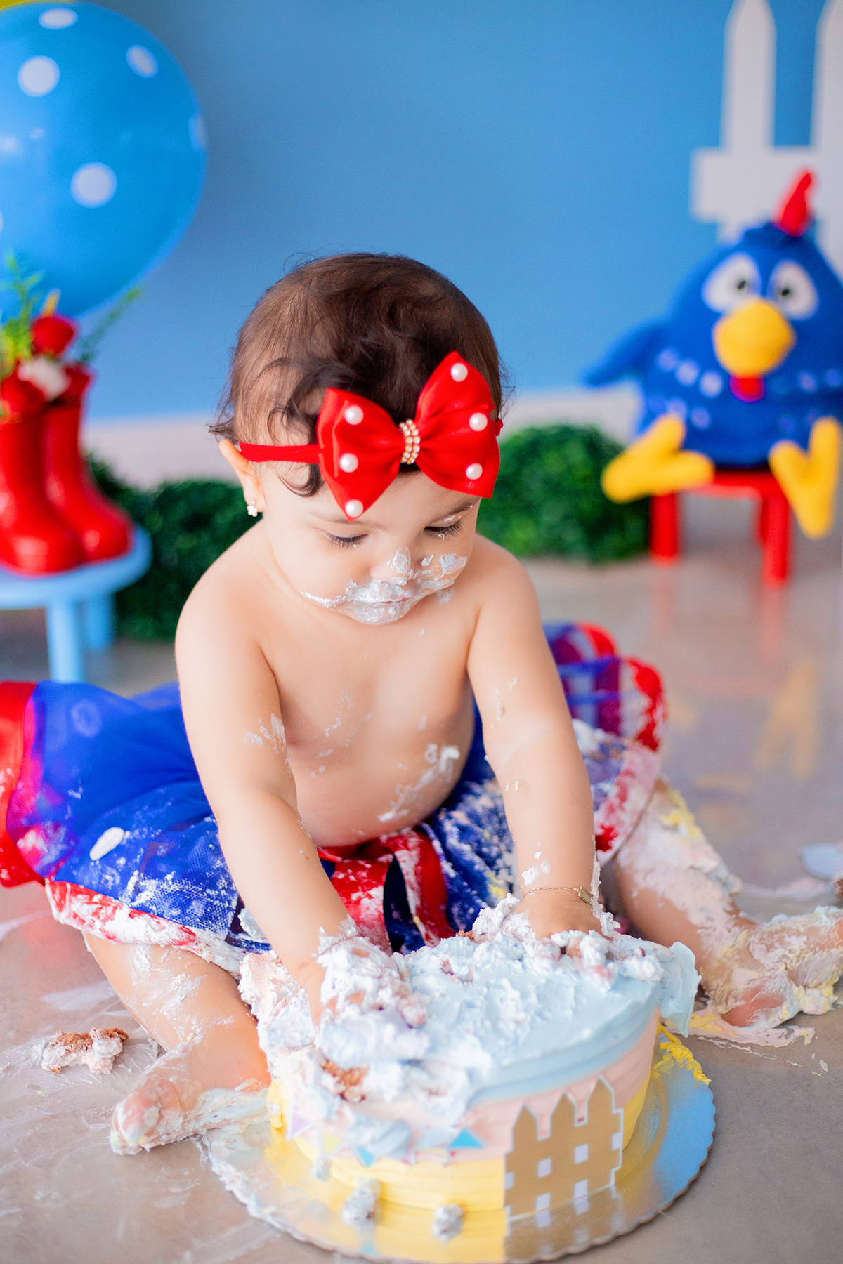 acompanhamento mensal de bebe caxias do sul figurino cenario tematico  personagem foto infantil serra gaucha fotografia familia mundo azul rosa ensaio fotografico crianca newborn baby menino menina smash the cake esmague o bolo banheira urso circo