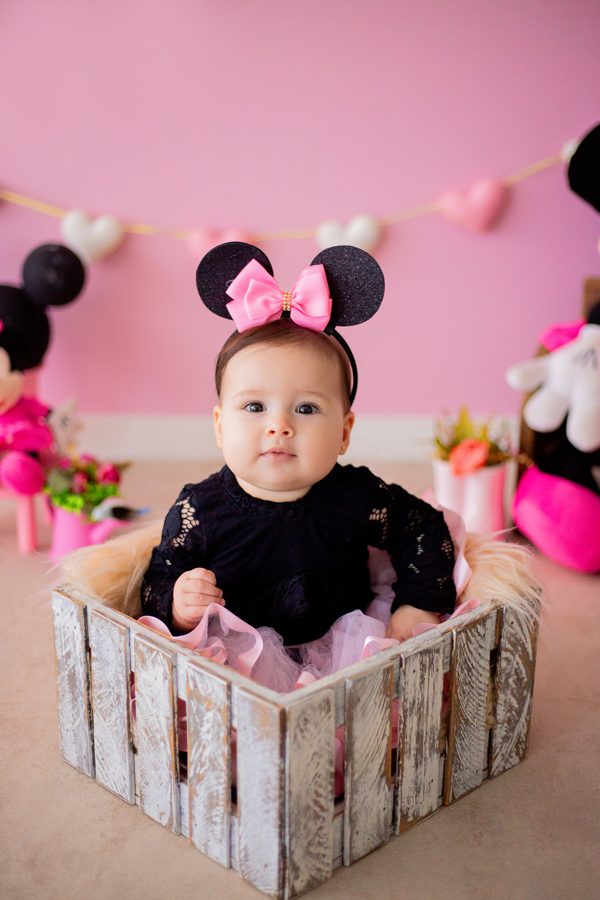acompanhamento mensal de bebe caxias do sul figurino cenario tematico  personagem foto infantil serra gaucha fotografia familia mundo azul rosa ensaio fotografico crianca newborn baby menino menina smash the cake esmague o bolo banheira urso circo