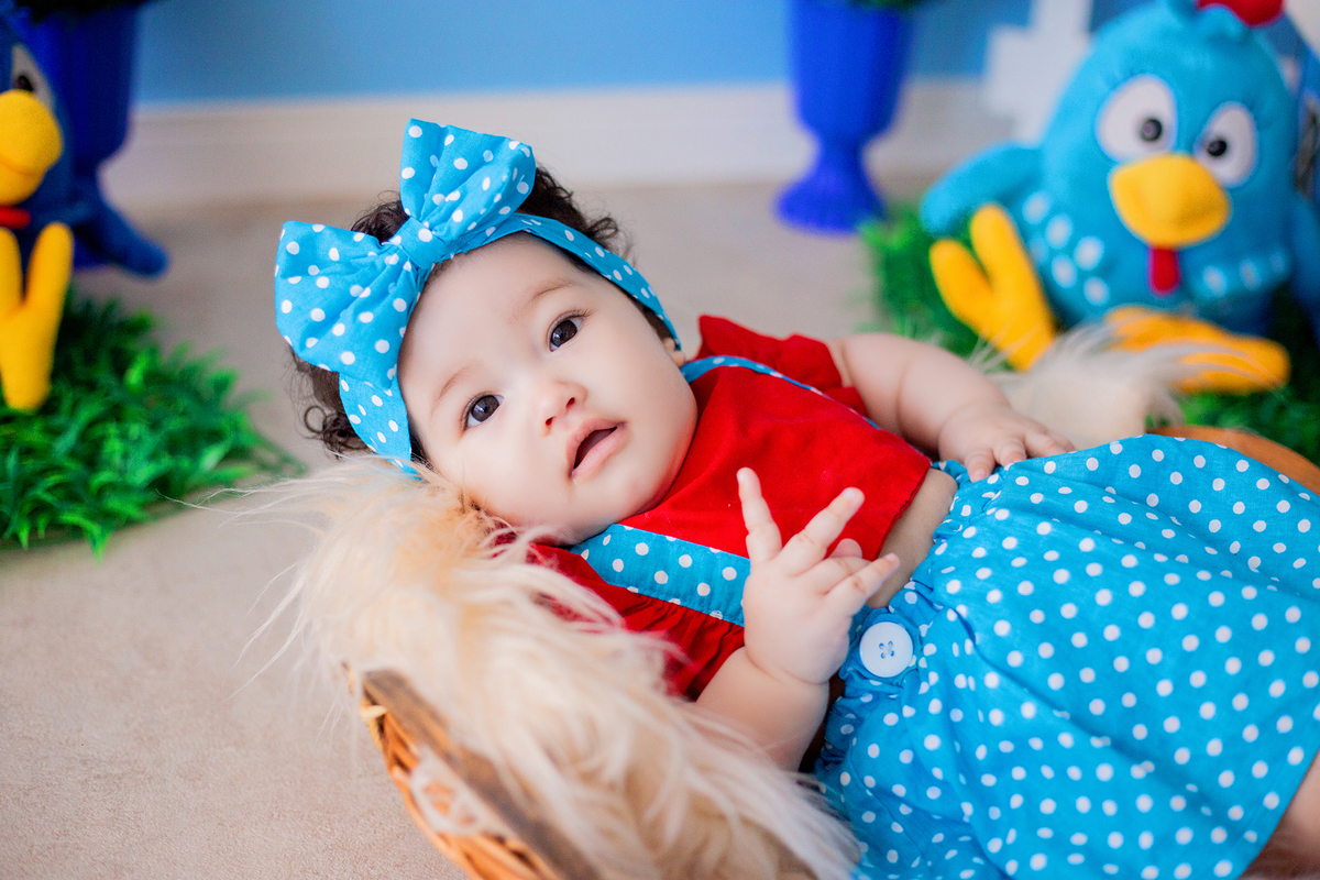 acompanhamento mensal de bebe caxias do sul figurino cenario tematico  personagem foto infantil serra gaucha fotografia familia mundo azul rosa ensaio fotografico crianca newborn baby menino menina smash the cake esmague o bolo banheira urso circo